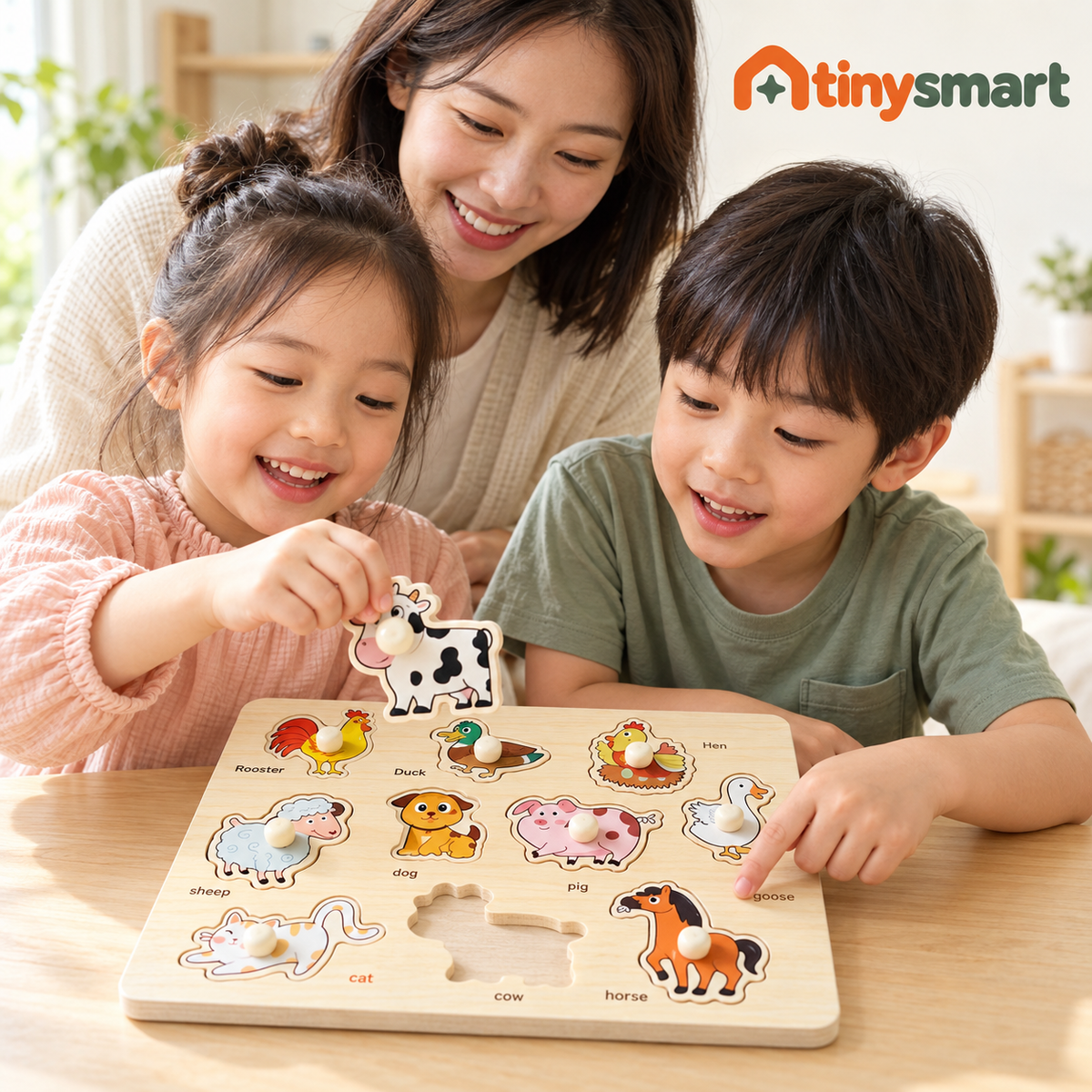 TinySmart Wooden Picture Matching Puzzle Board