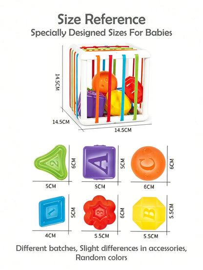 TinySmart Shape-Matching Discovery Toy