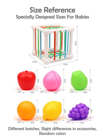 TinySmart Shape-Matching Discovery Toy